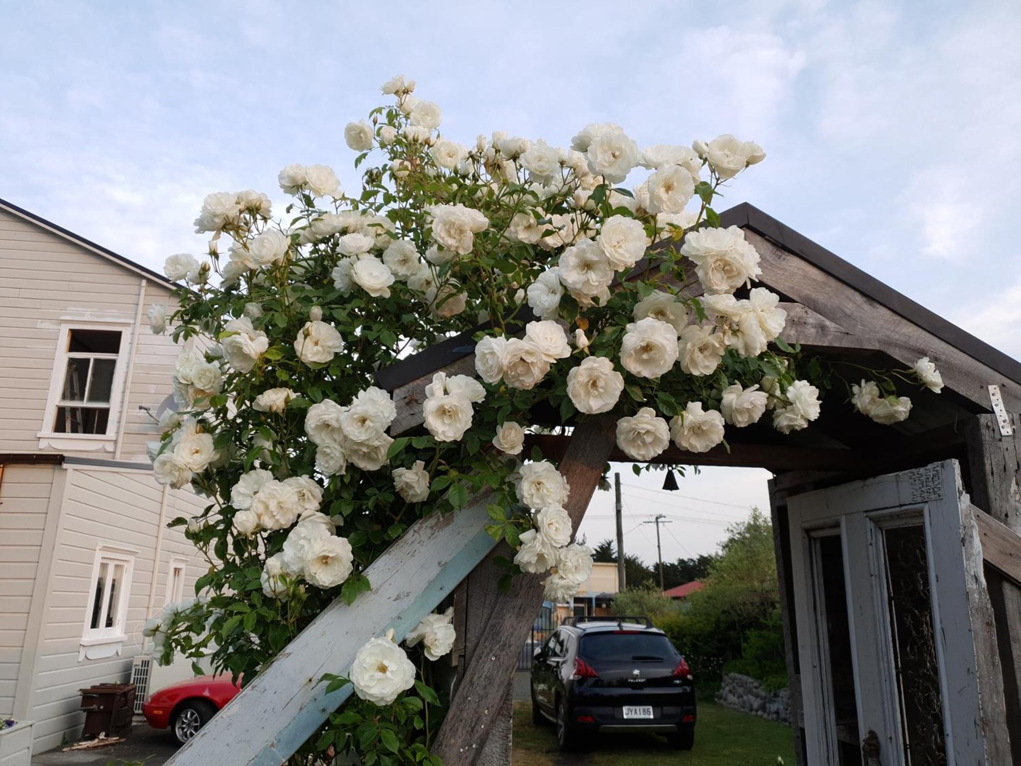 Bed and Breakfast Belle Ame Takapau Exterior foto